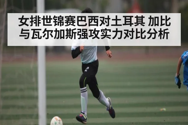 女排世锦赛巴西对土耳其 加比与瓦尔加斯强攻实力对比分析